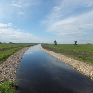 Complete Erosion Control